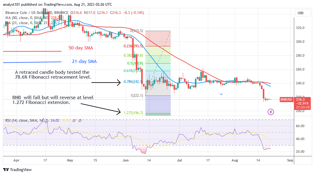 BNB Stabilizes above Current Support as It Further Falls to $196