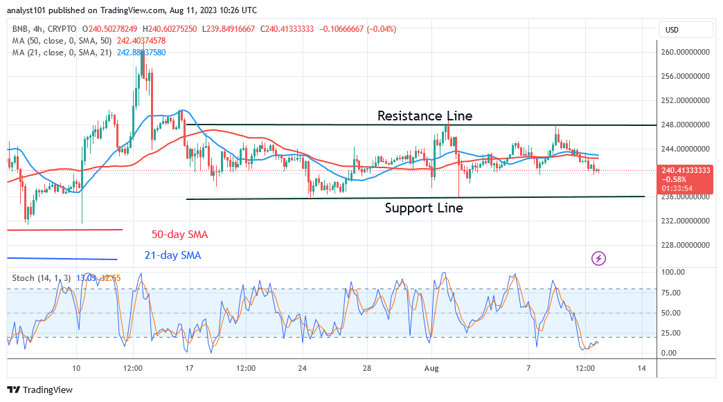 BNB Remains Stable as It Falls to a Probable Low of $230