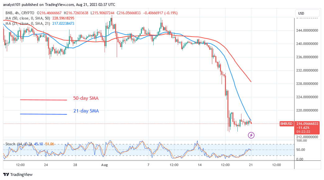 BNB Stabilizes above Current Support as It Further Falls to $196