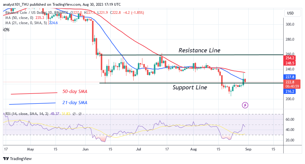 BNB Holds above $220 As It Returns To Its Trading Range