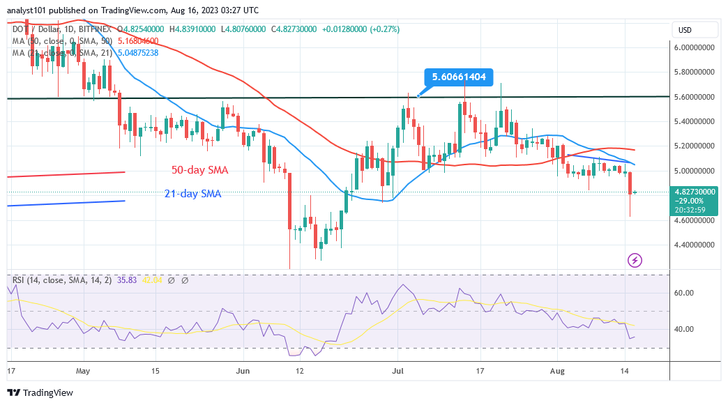 Polkadot Is on the Rise, with a Price Objective of $5.20