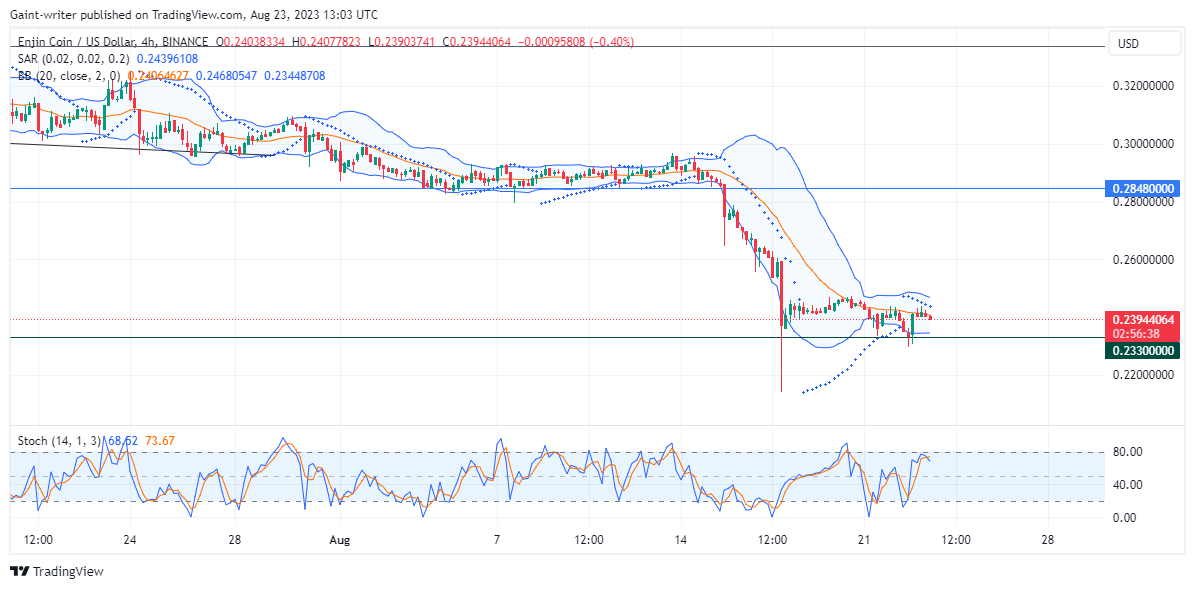 Enjin Coin (ENJUSD) Faces Bearish Pressure