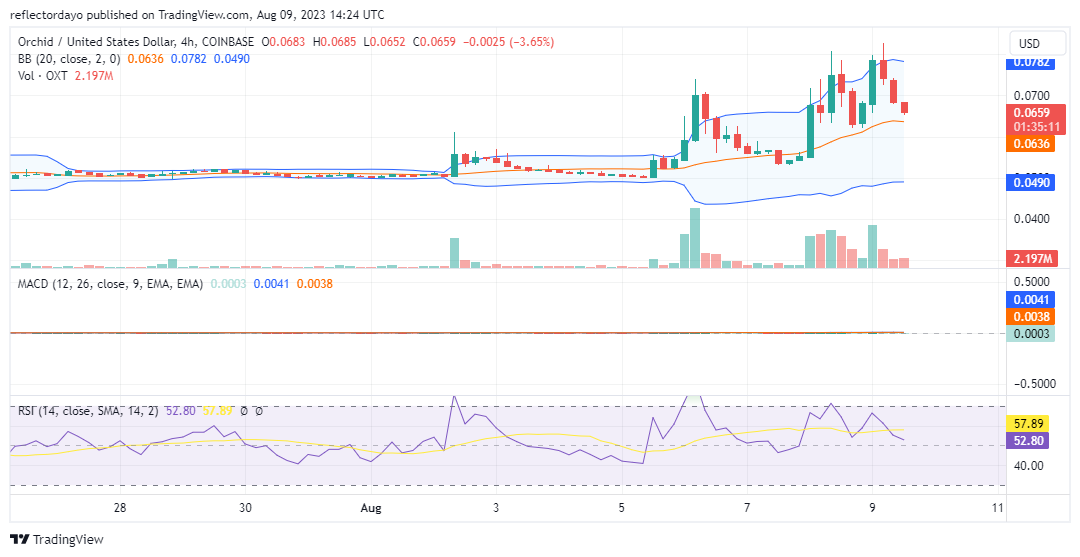 Orchid (OXTUSD) Is Seeing a Shift from Stagnation to Upside Momentum