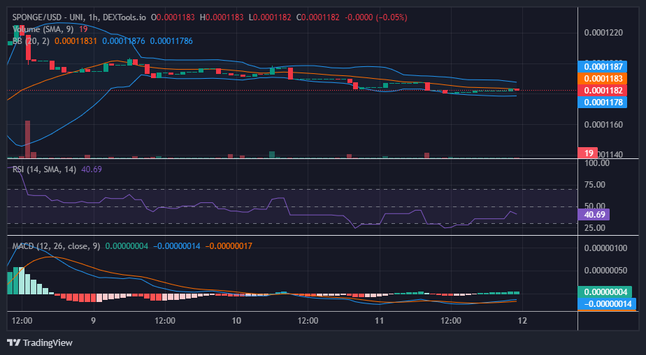 SPONGE/USD ($SPONGE) Still Holds the Possibility for a Rebound