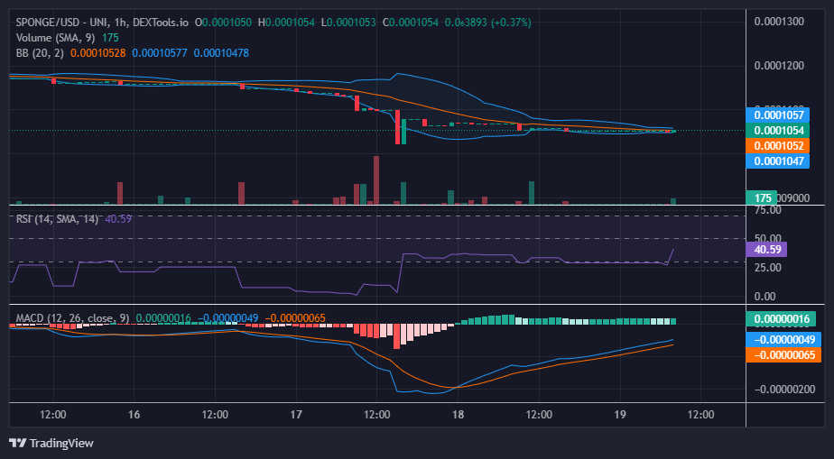 $SPONGE/USD Bulls Prepare for Action
