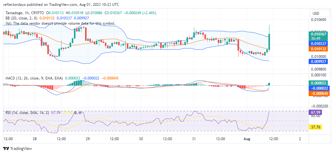 Tamadoge (TAMAUSD) Demand Level Remains Impenetrable for the Bears