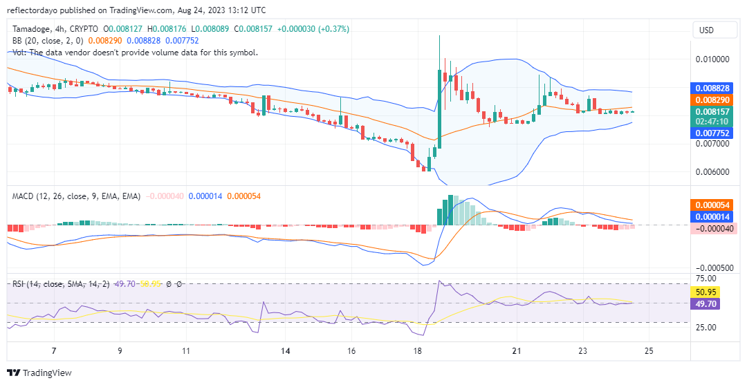 Tamadoge (TAMAUSD) Consolidates Around $0.0081 to Strengthen it for a Support