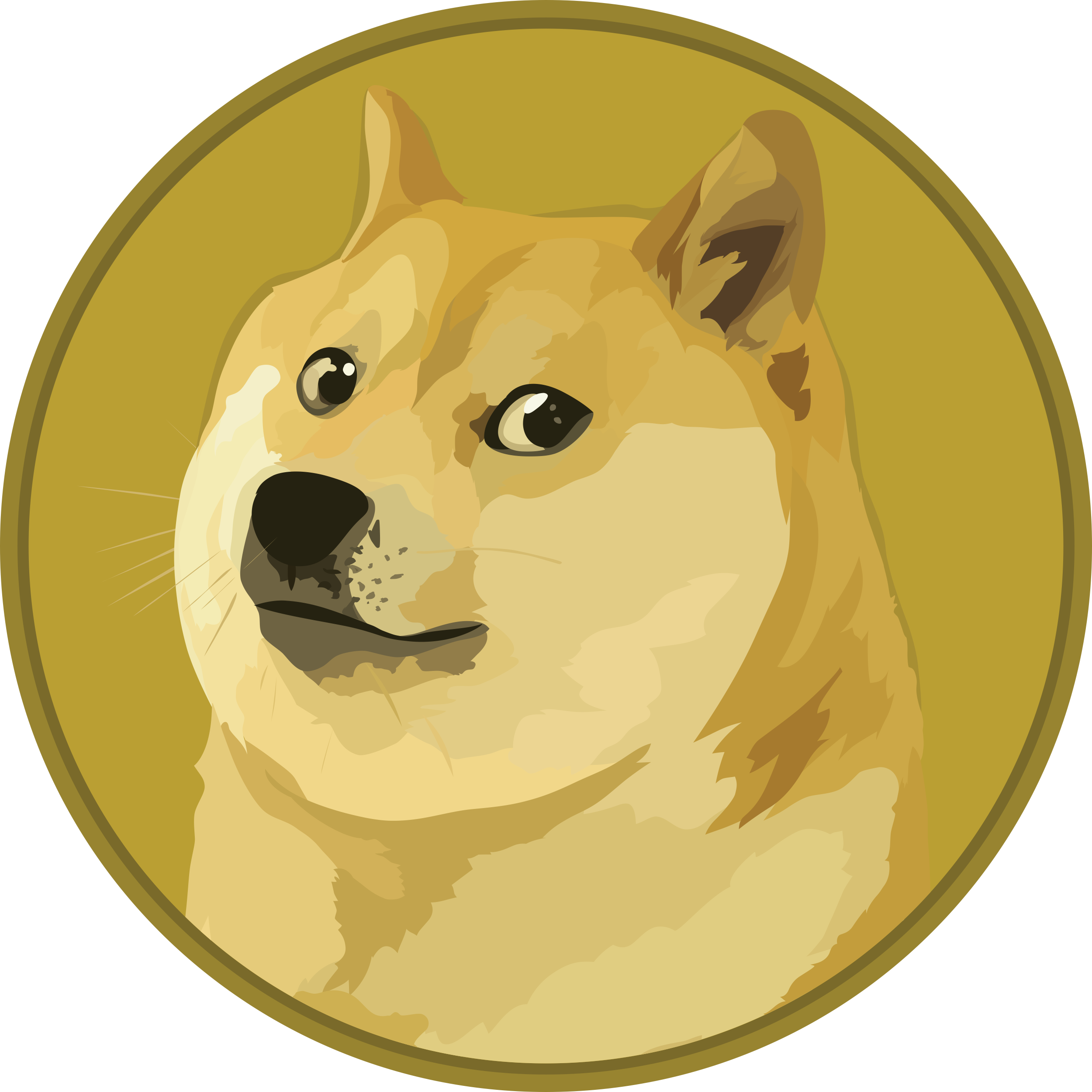 Dogecoin (DOGE/USD) Market Tests a Support, Making a Swing High