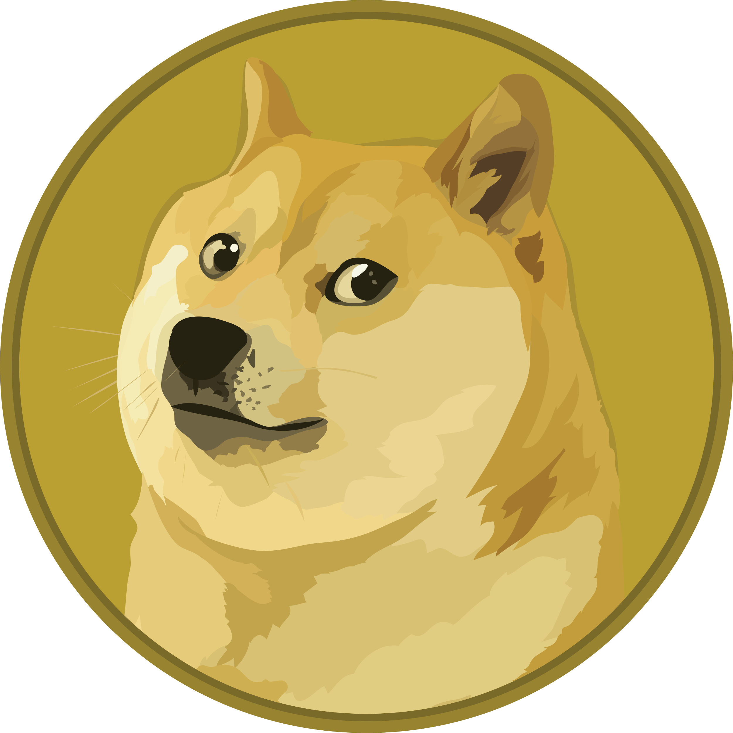 Dogecoin (DOGE/USD) Price Falls, Following a Spike Close to $0.11