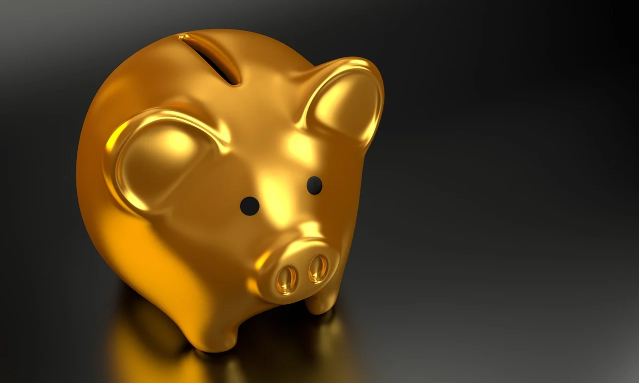 Cryptocurrency or Traditional Savings: Which One Is Best For Storing Wealth?