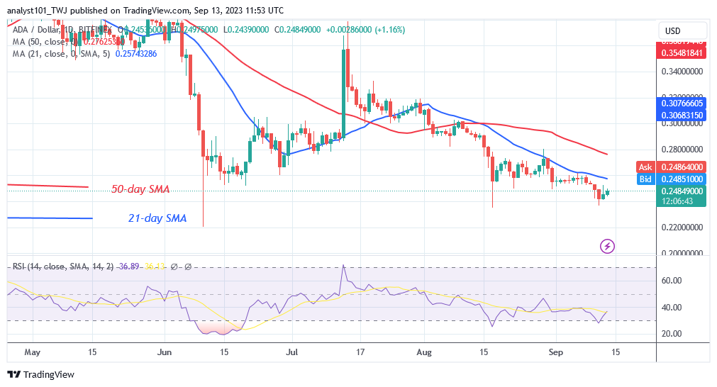 Cardano Slides to Its Prior Low of $0.23 to Begin a New Range
