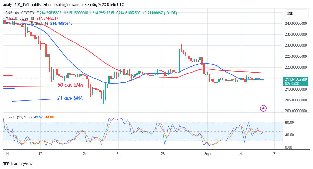   BNB Remains Flat As It Holds Above the $210 Support
