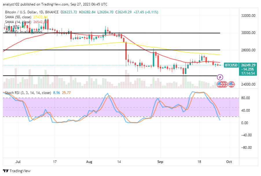 Bitcoin (BTC/USD) Price Is Slowing Down, Searching for Recoups