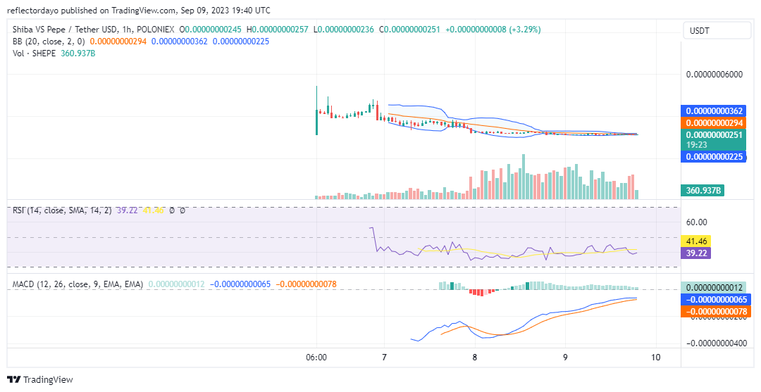 Top Trending Coins for Today, September 10: PEPE, BTC, PNB, PERP, and SHEPE