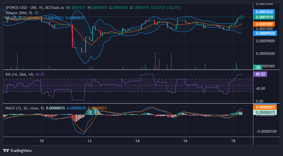 Sponge/USD ($SPONGE) Climbs New Higher Price Levels