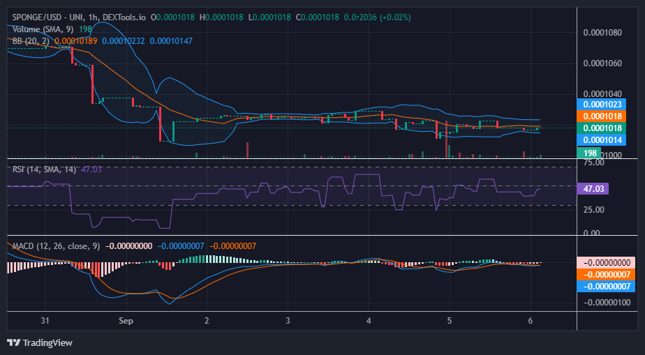 SPONGE/USD ($SPONGE): Awaiting a Potential Reversal at $0.00010