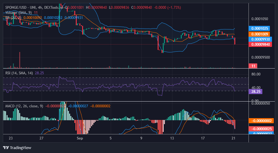 Sponge/USD ($SPONGE) Bull Market to Emerge from the $0.000096 Price Level