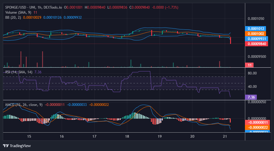 Sponge/USD ($SPONGE) Bull Market to Emerge from the $0.000096 Price Level