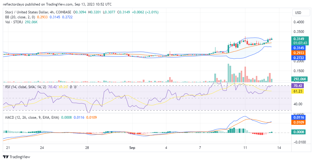 The Storj Market (STORJ/USD) Claims the $0.300 Price Mark