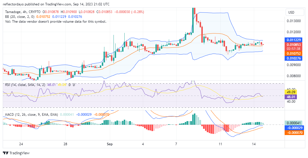 Tamadoge (TAMAUSD) Consolidates at the $0.01100 Price level