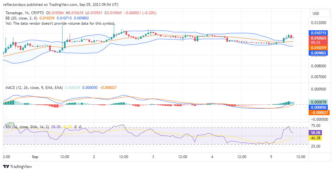 Tamadoge (TAMAUSD) Settles Above the $0.01000 Price Level