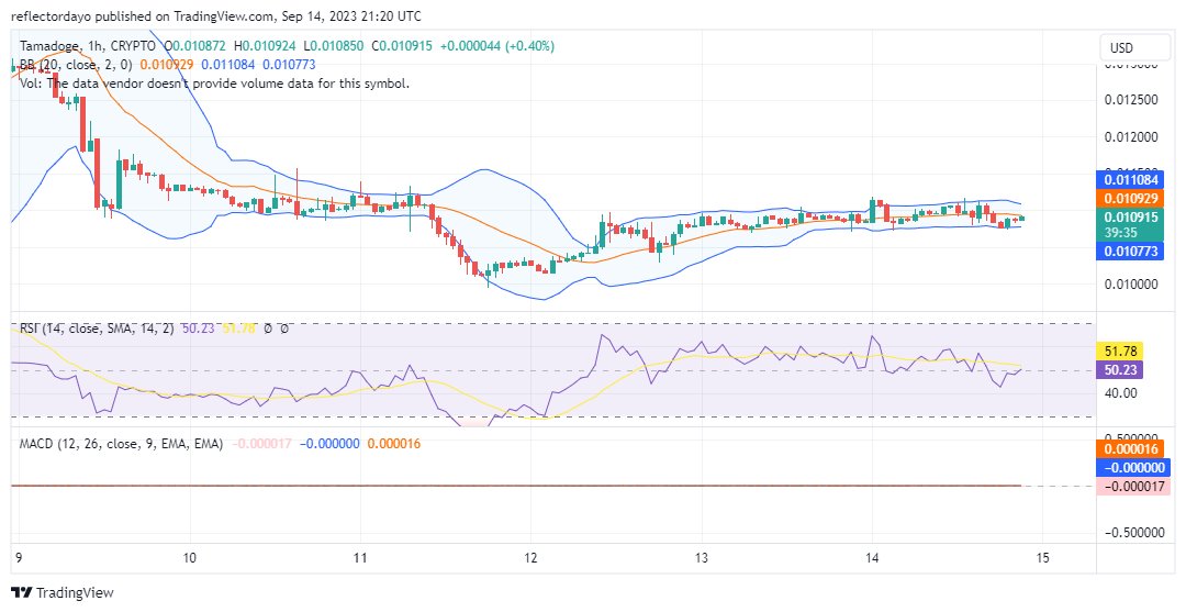 Tamadoge (TAMAUSD) Consolidates at the $0.01100 Price level