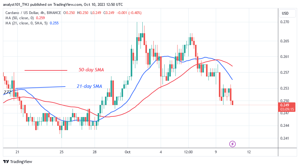 Cardano's Value Decreases as It Reverts to Its Existing Support at $0.24