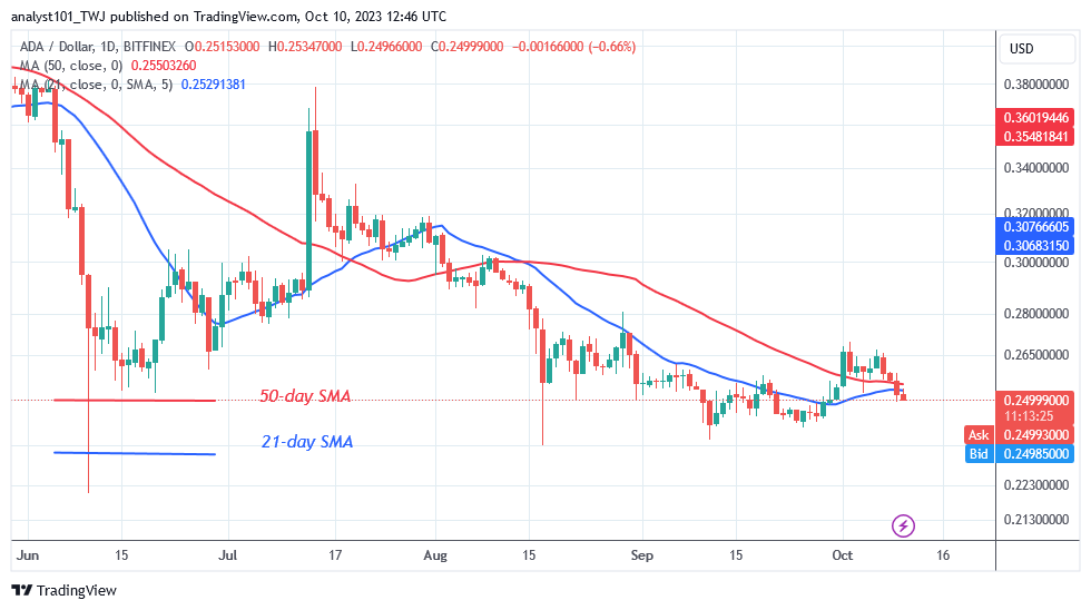Cardano's Value Decreases as It Reverts to Its Existing Support at $0.24