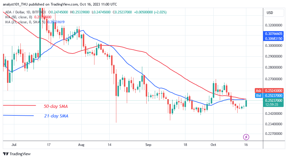 Cardano Returns to Its Range as It Faces Rejection at $0.26