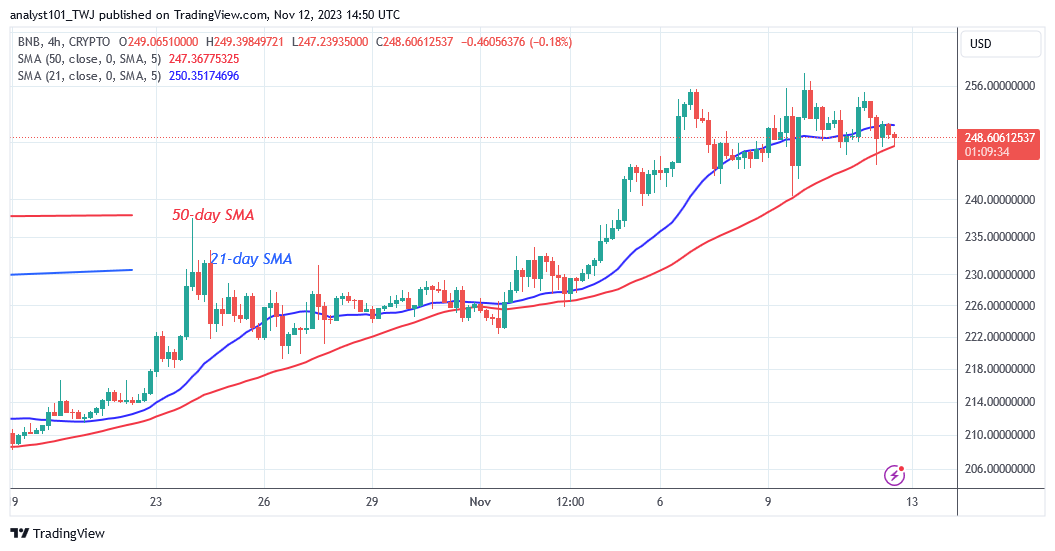 BNB Halts at the $255 High as It Resumes Its Horizontal Trend