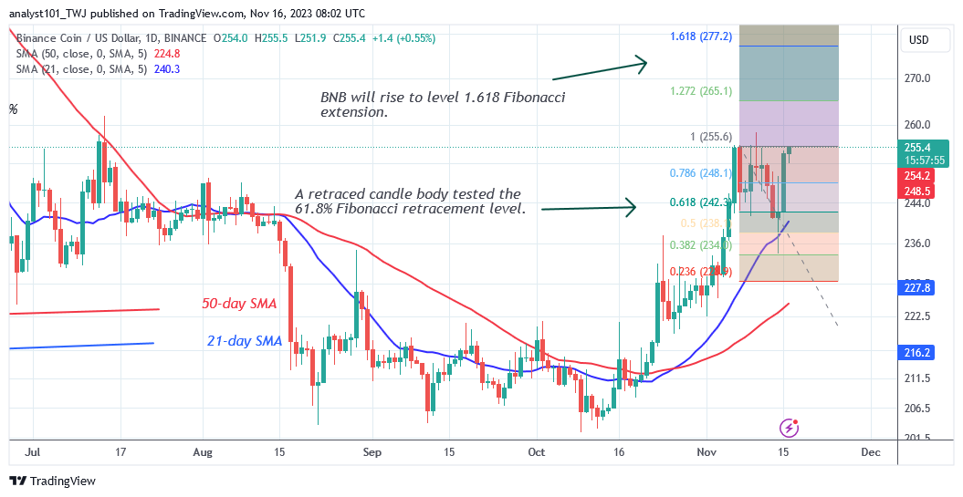  BNB Oscillates in a Range as It Is Unable to Sustain above S256