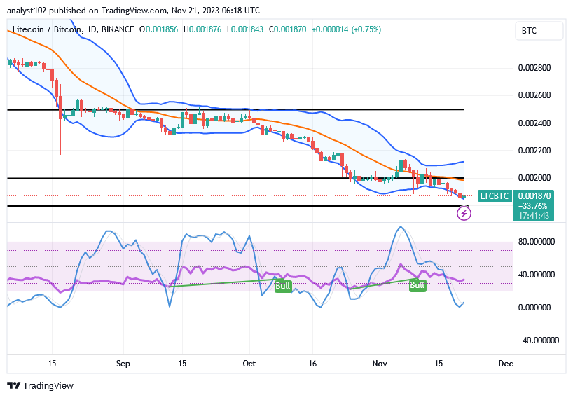 Litecoin (LTC/USD) Price Is in Correction, Opting for a Rally
