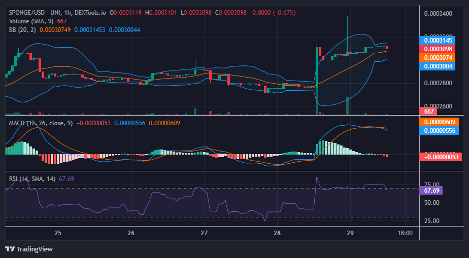$SPONGE (SPONGE/USD) Bulls Trying to Claim a $0.0003 Price Level for a Higher Support Level