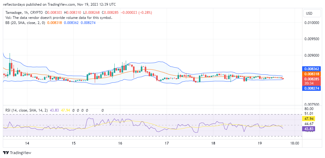 Tamadoge (TAMA/USD): Navigating Opportunities in a Consolidation Phase for Potential Future Gains