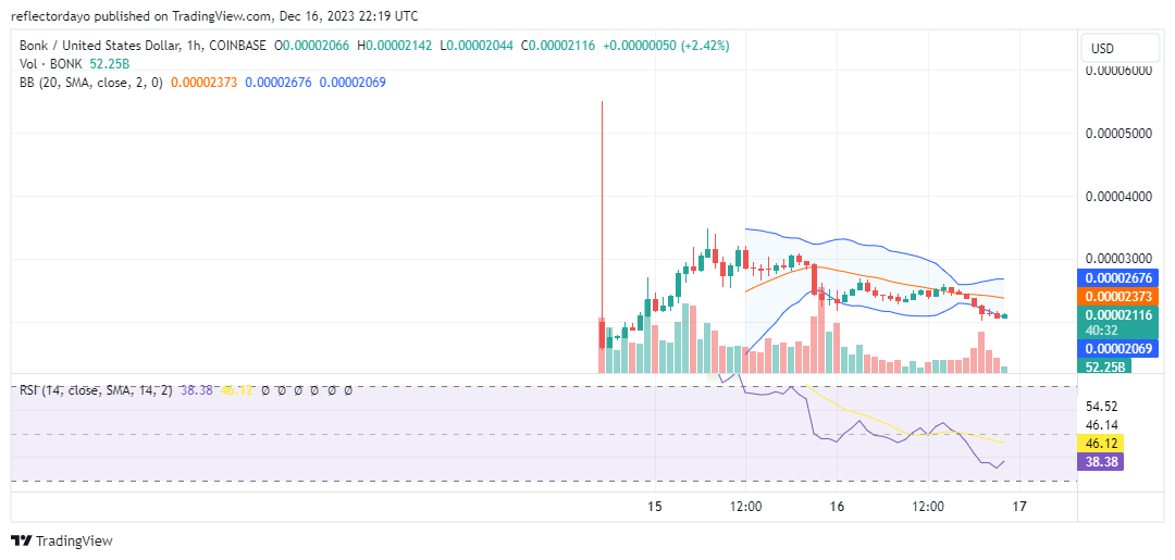 Top Trending Coins for Today, December 17: BONK, RDNT, RATS, ICP, and SATS