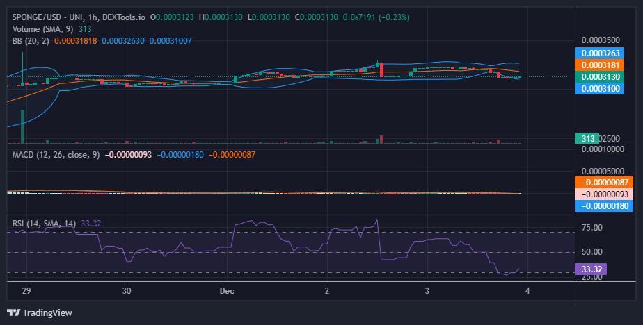 $SPONGE (SPONGE/USD): Bullish Traders Continue to Orchestrate the Price Rally