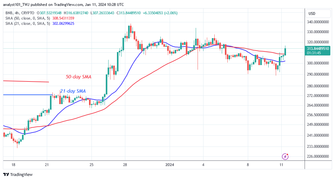  BNB's Price Trades Slightly as It Moves below the $340 Peak