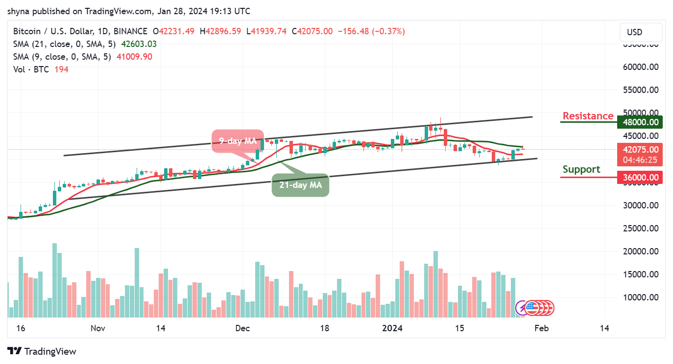 Bitcoin Price Prediction: BTC/USD Prepares for Another Spike Above $42k
