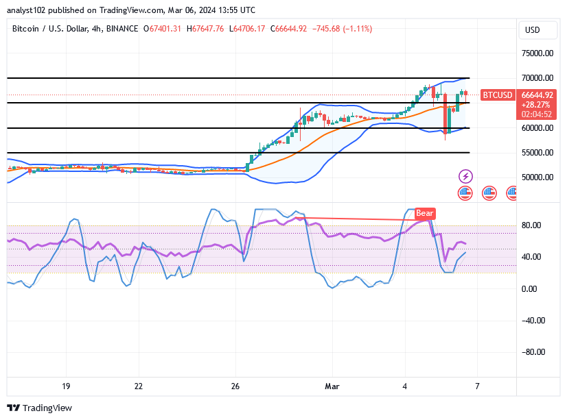 The Bitcoin (BTC/USD) Trade Loses Momentum, Puts to Rebounds