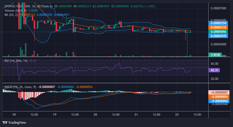 $SPONGE (SPONGE/USD): Bulls Eye Buying Opportunity on Potential Price Dip Below $0.00005