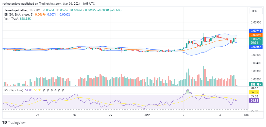 Tamadoge (TAMA/USD) Aims for Steady Ground Beyond $0.007