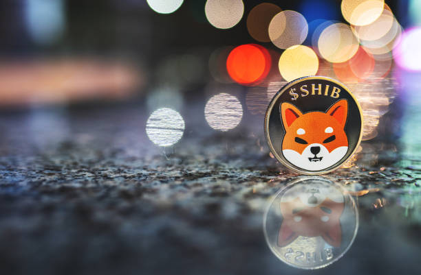 Shiba Inu's Marketing Lead Lauds KNINE's Launch – Reasons
