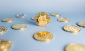 The Good and Bad Sides of Memecoins