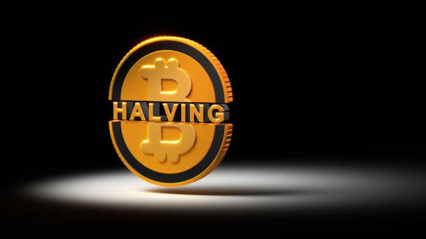 What Effects Will the 2024 Bitcoin Halving Have on BTC?