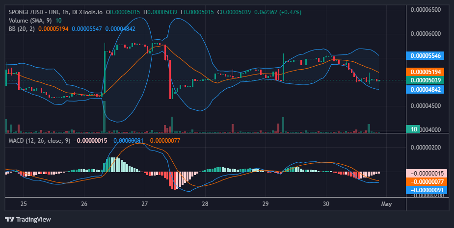 SPONGE (SPONGE/USD) Poised for Rebound as it Stabilizes at $0.00005