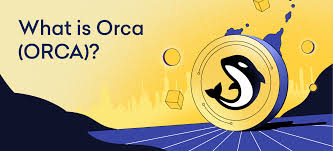 Discovering Orca: A Dive into Decentralized Finance