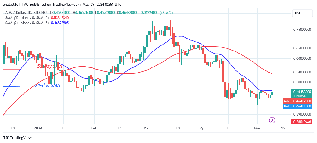 Cardano Holds Above $0.43 as It Nears a Breakout or Breakdown