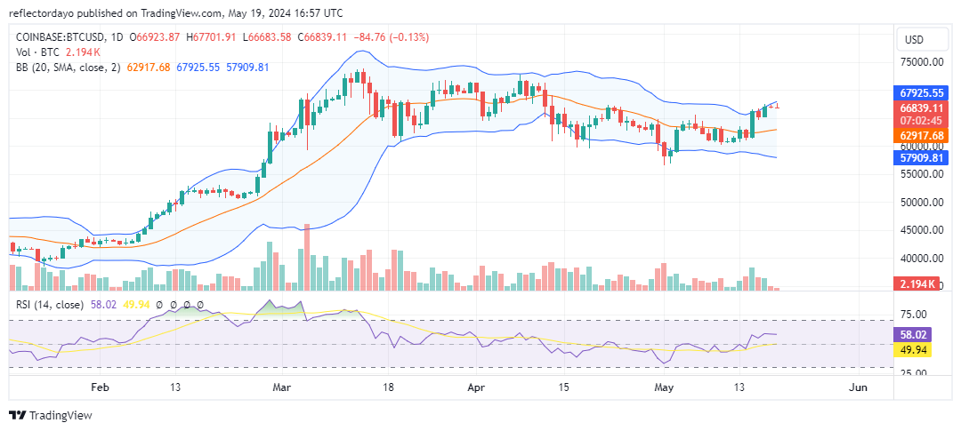 Top Trending Coins for Today, May 19: GME, PEPE, BEFI, PANDA, and BTC