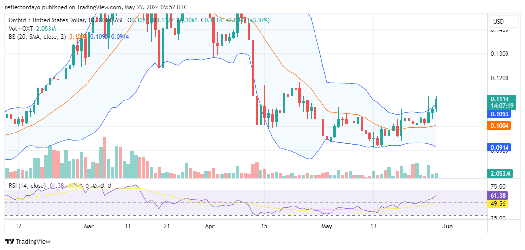 Orchid (OXT/USD): Bullish Signs Hint at a Potential Price Surge