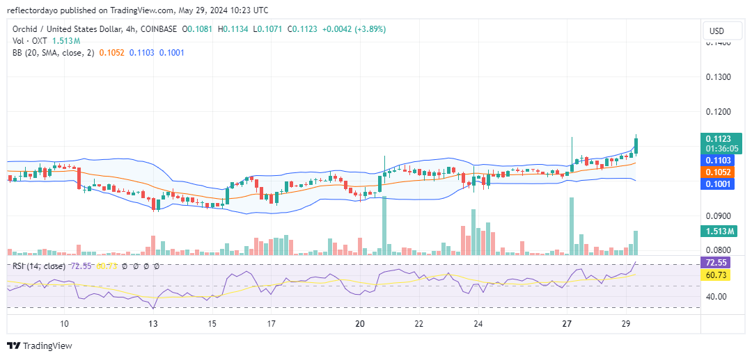 Orchid (OXT/USD): Bullish Signs Hint at a Potential Price Surge
